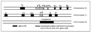 mécanismes évolutifs en biologie